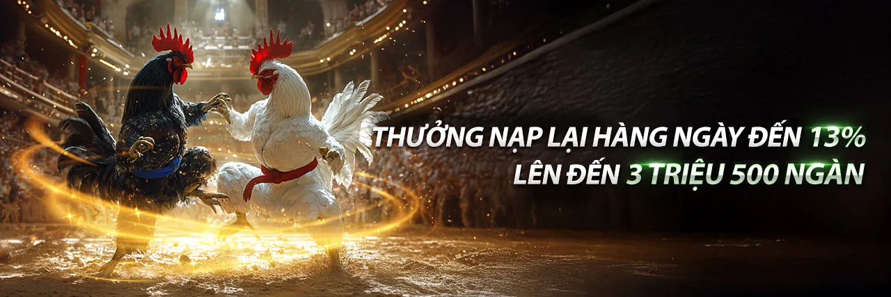 Đá gà trực tuyến ngày 20 tháng 2 năm 2023